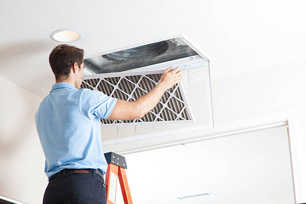 Best Furnace Cleaning in Eming Island, FL